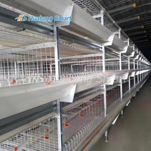 Jaula para pollos de engorde3