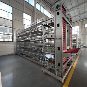 Gaiola de camada (5)