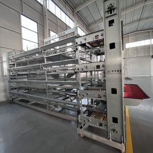 Gaiola de camada (6)