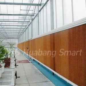 Water Curtain (5)