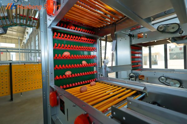 Egg collection system (10)