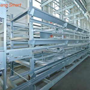 Egg collection system (11)