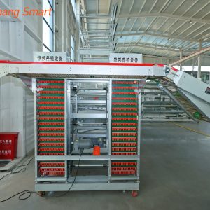 Egg collection system (5)